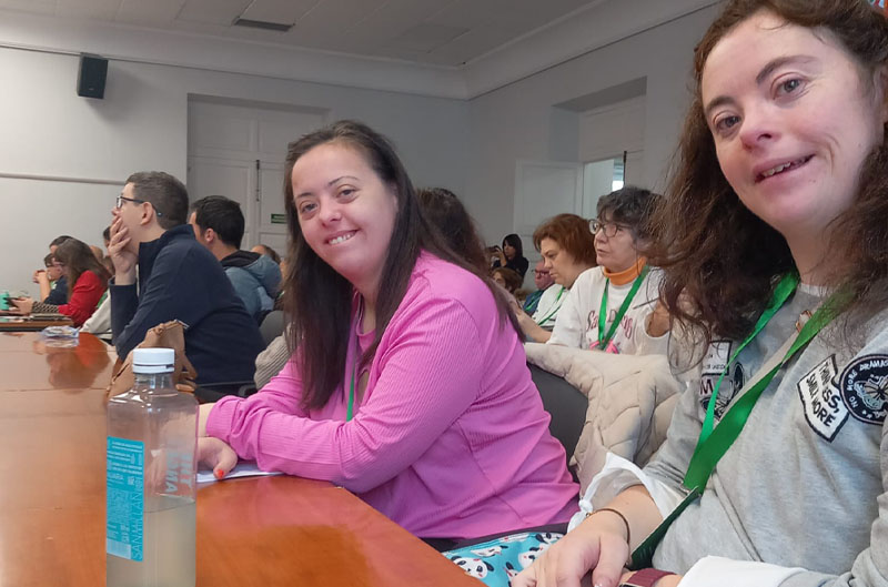 Encuentro Auton�mico de Representantes `Yo Tambi�n Cuento` impulsado por Plena Inclusi�n Madrid