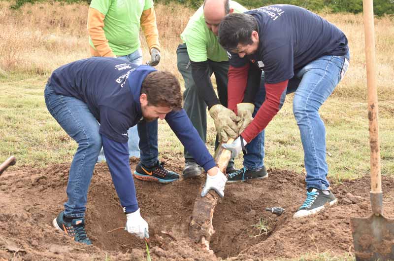 Voluntariado corporativo de la Fundacin Gil Gayarre